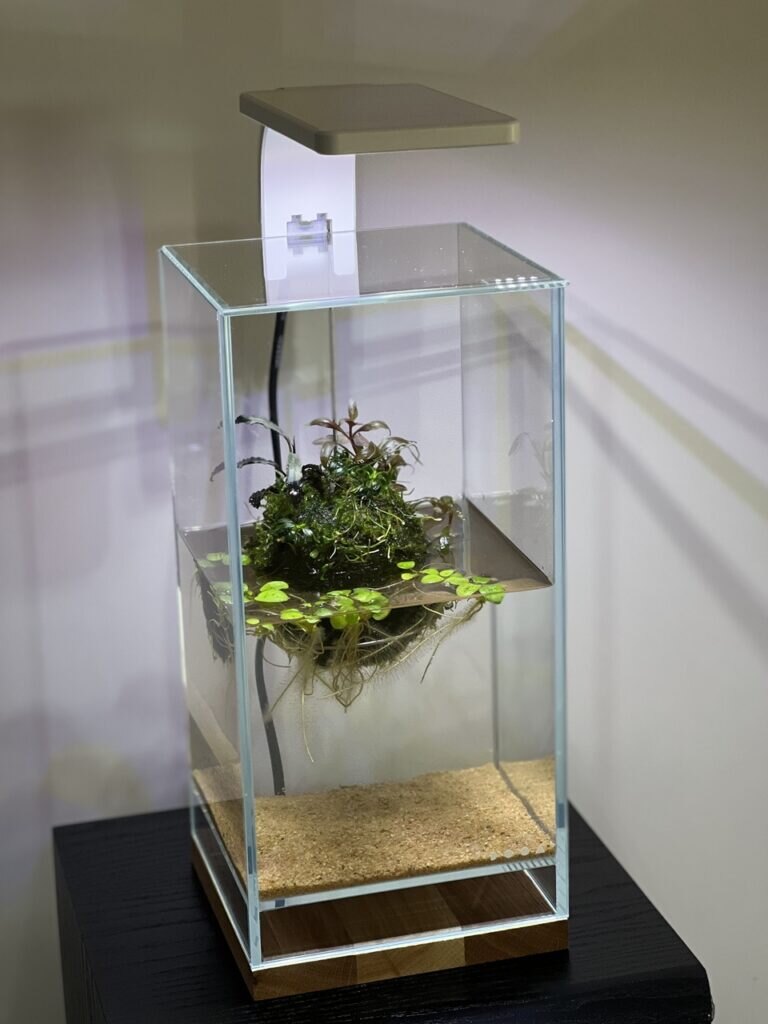 DOOA Neo Glass Air — Wabikusa